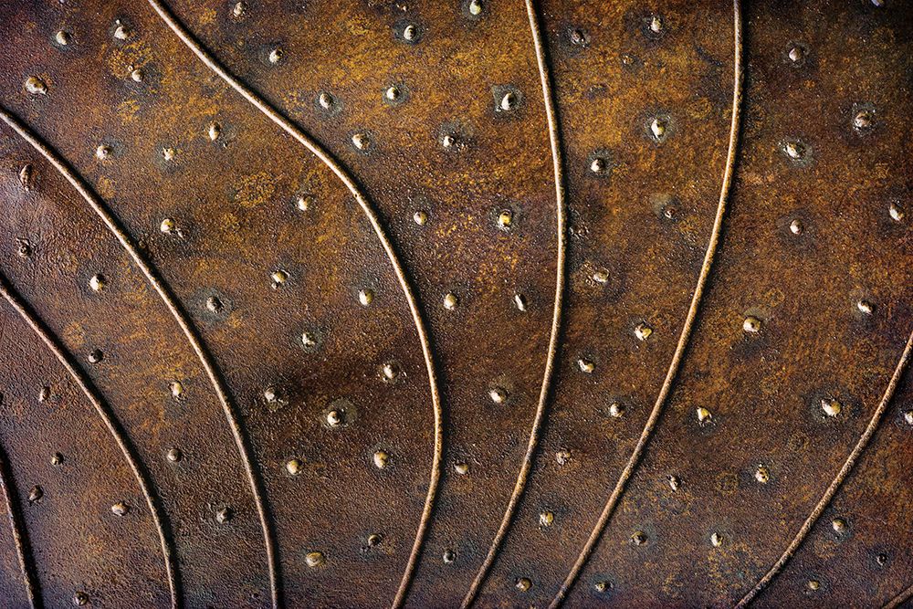 USA, Washington State, Ashford. Detail of metal at Sculpture Park. (PR)